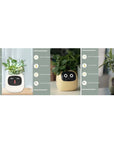 Smart Planter with AI: 49 Expressions, 7 Sensors for Easy Plant Care