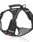 Reflective Stress- Relieving Harness