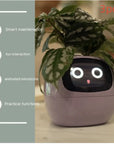 Smart Planter with AI: 49 Expressions, 7 Sensors for Easy Plant Care