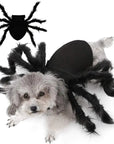 Halloween Spider Costume for Pets