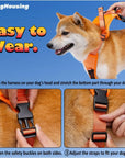 All-in-One Dog Harness & Retractable Leash