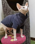 Warm Winter Clothes for Sphynx Cats