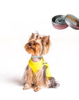 Petmate Anti Flea Collar Small to Medium Dog