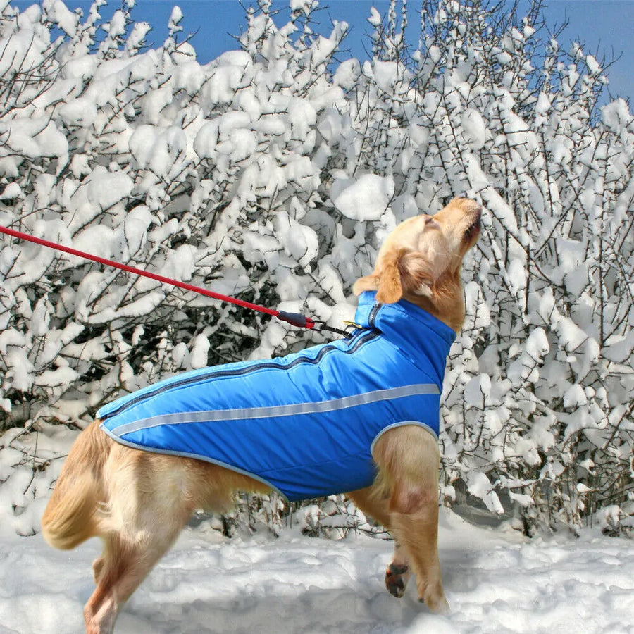 Waterproof Large Dog Clothes