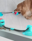 Suction Ball Interactive Dog Toy