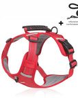 Reflective Stress- Relieving Harness