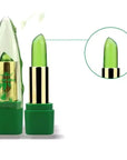 Aloe Vera Moisturizing Lip Balm