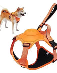 All-in-One Dog Harness & Retractable Leash