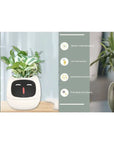 Smart Planter with AI: 49 Expressions, 7 Sensors for Easy Plant Care