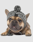 Warm Winter Pet Hat