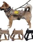 Nylon Tactical Dog Harness with Handle & Bungee Leash for Large Dogs