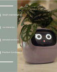 Smart Planter with AI: 49 Expressions, 7 Sensors for Easy Plant Care