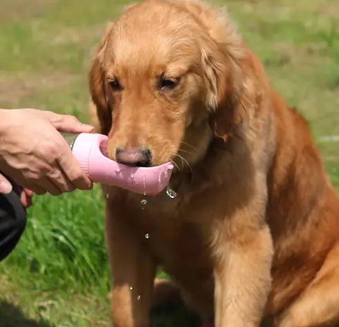 2 In 1 Portable Dog Water Bottle