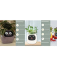 Smart Planter with AI: 49 Expressions, 7 Sensors for Easy Plant Care