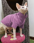 Warm Winter Clothes for Sphynx Cats