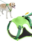 All-in-One Dog Harness & Retractable Leash